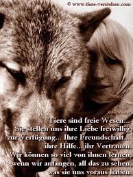 Endlich Mal Ein Beitrag Auf Deutsch Denn Die Meisten Amerikaner Haben Ihre Hunde In Die Handtaschen Gepackt Das Sind Aber Spruche Tiere Tiere Spruche Tierliebe