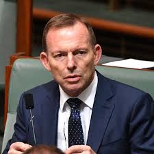 Tony Abbott faces campaign using tactics that defeated Mirabella in Indi