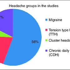 The Pie Chart Shows The Headache Types Included In The 80