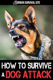 How To Survive A Dog Attack Urban Survival Site In 2020 Dog Attack Urban Survival Survival
