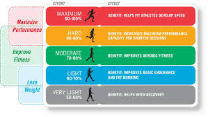 10 Factual Cardio Zone Heart Rate Chart