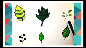 تعلم طريقة رسم ورق الشجر تعليم الرسم للاطفال تعليم الرسم للمبتدئين youtube