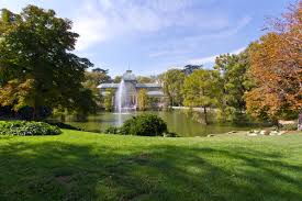 Image result for parque