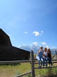 Image result for Erica whyteana