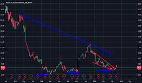 Pbyi Stock Price And Chart Nasdaq Pbyi Tradingview