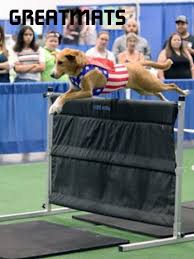 Rubber Foam Exercise Gym Dance Martial Arts Mats Flooring Dog Show Martial Arts Mats Dogs