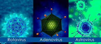 Rotavirus is a very contagious virus that causes diarrhea. This Month Let S Talk About Rotavirus Adenovirus Astrovirus Certest Biotec Ivd Diagnostic Products