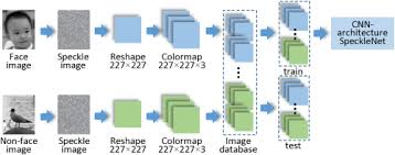 Deep convolutional neural network (cnn) is a special type of neural networks, which has shown exemplary performance on several competitions related to computer vision and image processing. Osa Deep Learning Based Object Classification Through Multimode Fiber Via A Cnn Architecture Specklenet