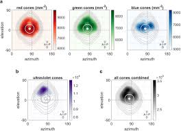 Huge sale on metal kitchen racks now on. Spherical Arena Reveals Optokinetic Response Tuning To Stimulus Location Size And Frequency Across Entire Visual Field Of Larval Zebrafish Biorxiv