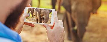 Master your iphone in one minute a . How To Use Autofocus And Auto Exposure Lock On Your Iphone Camera