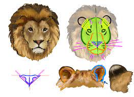 Comment dessiner un lion | Comment dessiner un lion, Dessin lion, Dessin