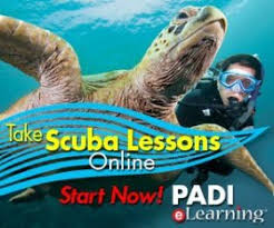 Click now to find out! New York City S Premier Padi 5 Star Dive Center