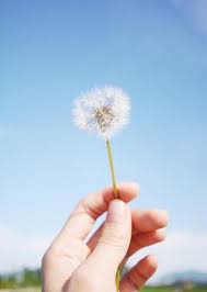 ป กพ นโดย crina filip ใน personalization mall coupon code 20 off and free shipping ช อดอกไม ร านดอกไม ดอกไม