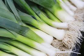 Deer and rabbits avoid alliums. Allium Vegetables 5 Reasons To Eat More Of These Amazing Foods