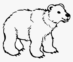 One of the most beautiful things i have ever seen. Polar Bear American Black Bear Brown Bear Drawing Bear Clipart Black And White Outline Hd Png Download Transparent Png Image Pngitem
