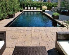50 Paving Around Swimming Pool Ideas Backyard Pool Pool Landscaping Swimming Pools