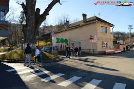 Grădina zoologică brașov are doi noi locatari, un mascul de panda roșu și o femelă de zebră grant, în vârstă de doi ani. Gradina Zoologica Brasov Trecator Prin Lume