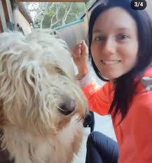 Lost Dog in Bear, Delaware