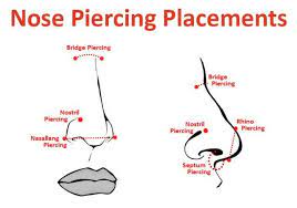 Nose Piercing Faqs Nose Piercing Nose Piercing Placement Double Nose Piercing