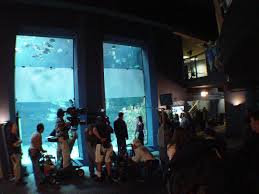 Every wednesday black bean and classic burger are only $6.66. Dawson S Creek Facts