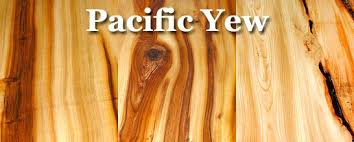 Pacific Yew Lumber Wood Lumber Outdoor Wood Yew Wood