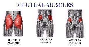 Tighten your hamstrings, glutes, and low back and lift to straighten your leg and opposite arm while maintaining proper alignment. 3 Glute Exercises You Ve Never Tried
