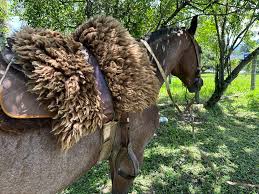 Pelego Natural Para Sela Montaria - Comprar em JS Peles