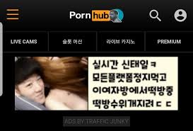 신태일 게이 근황 | 일베-일간베스트 | 일베저장소