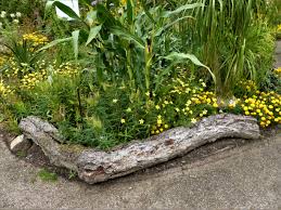 Beeteinfassungen Gestalten Von Rustikal Bis Elegant In 2020 Beeteinfassung Gartengestaltung Gartenportal