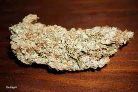 Skunk Weed What Is It And How Did It Evolve