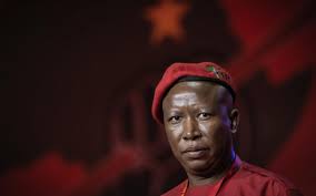 Julius malema says the eff will appeal the pretoria high court's judgment in regard to their application to have cyril ramaphosa's cr17 back statements unsealed Da Lays Charges Against Eff S Malema And Paulsen Iafrica