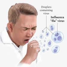 Image result for Influenza