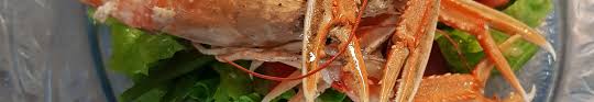 Que Faire A Dax Et Dans Les Landes 40 Restaurant Le Borda