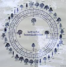 Celtic Tree Calendar Celtic Calendar Celtic Tree Pagan