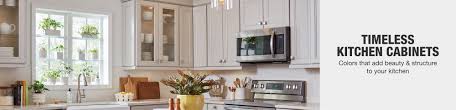 kitchen cabinets color gallery