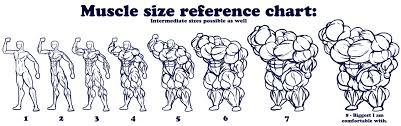 Muscle Sizes Ref Sheet By Daniel_kay Fur Affinity Dot Net