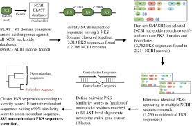 Pkss offers a range of security services including: Computational Identification And Analysis Of Orphan Assembly Line Polyketide Synthases The Journal Of Antibiotics