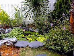 Pond Ideas Dragonfly Pond Ideas Pinterest