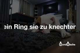 Wo nehmen die studenten die lehrbücher? Ein Ring Sie Zu Knechten Bedeutung Und Definition Mundmische De