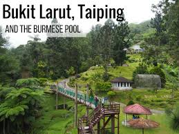 But by all means, visit taiping for its outdoor attractions and activities, simple and active lifestyle, rich history, good food and warm people, and you. Visit Bukit Larut Maxwell Hill A Must See In Taiping Perak A Good Alternative To The Super Popular Cameron Hig Taiping Cameron Highlands Malaysia Resorts
