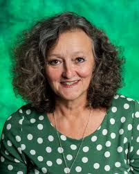 2023 SFE Award Winners