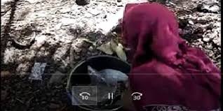 Itulah beberapa contoh paragraf deskripsi dan persuasi mengenai membuang sampah sembarangan. Guru Berbagi Budaya Membuang Sampah Pada Tempatnya Membentuk Murid Merdeka