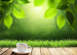 Decaf coffee falls well below the recommended daily limit of caffeine. Does Decaf Tea Have Caffeine