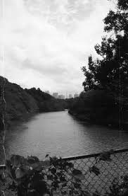 35mm Black And White Film Photography Top 10 Black White Negative 35mm Film Stocks Filtergrade Film Photography 35mm Black And White Film 35mm Film