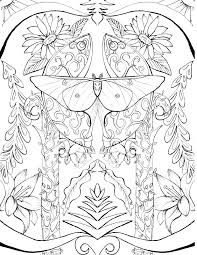 They're great for all ages. Luna Moth Coloring Darbee Holliefindlaymusic Com Coloring Home
