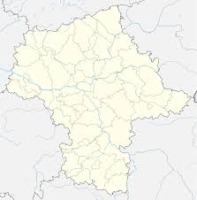 Z o.o., polskie młyny s.a., helio s.a., boryszew s.a., energop sp. Sochaczew Wikipedia