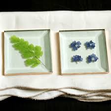 We did not find results for: Pressed Flower Glass Coasters Simple Tutorial Hearth And Vine