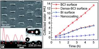 Of the paper, which was published in the journal nature on wednesday. Beetle And Cactus Inspired Surface Endows Continuous And Directional Droplet Jumping For Efficient Water Harvesting Journal Of Materials Chemistry A Rsc Publishing