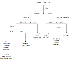 The Solubility Test Flowchart Download Scientific Diagram