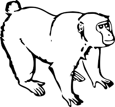 16.04.2018 · learn how to draw a gorilla for kids easy and step by step. Ostrich Clipart Easy Draw Ostrich Easy Draw Transparent Free For Download On Webstockreview 2021